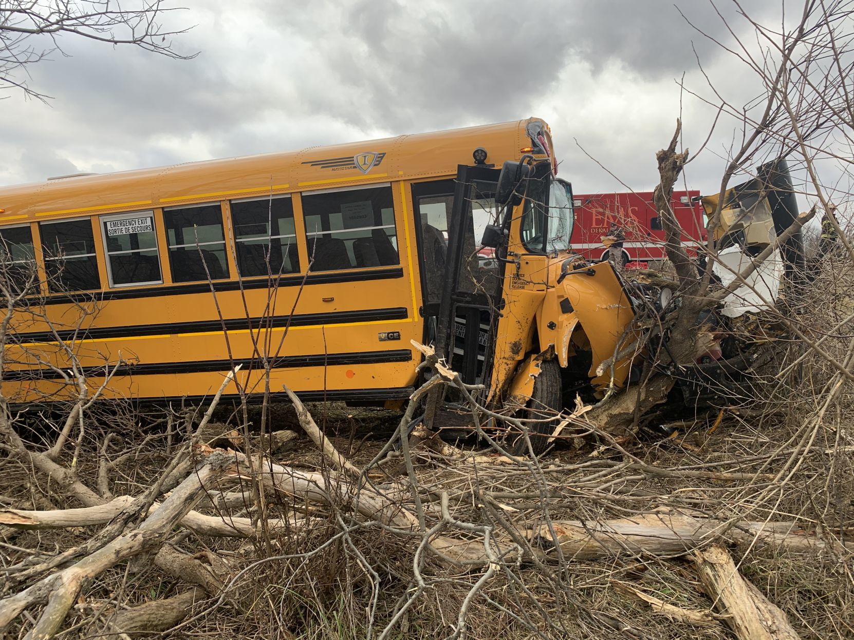 New school bus crashes on I-69